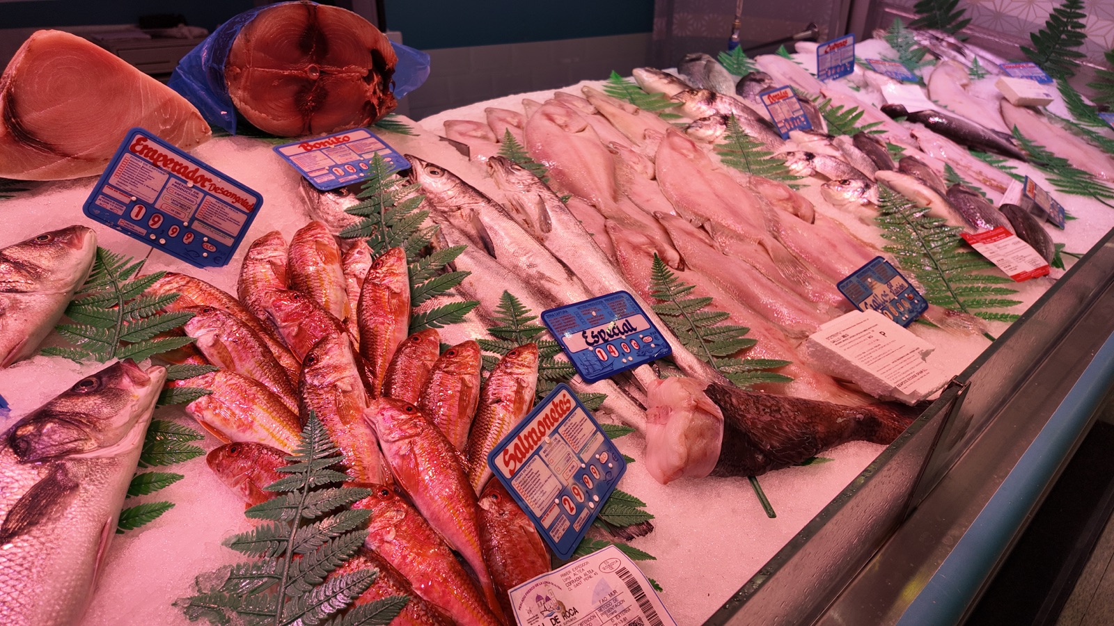 Salmonetes, filetes y otras piezas de pescado fresco